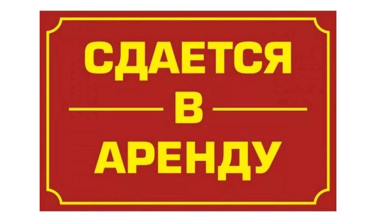 Сдаётся в аренду